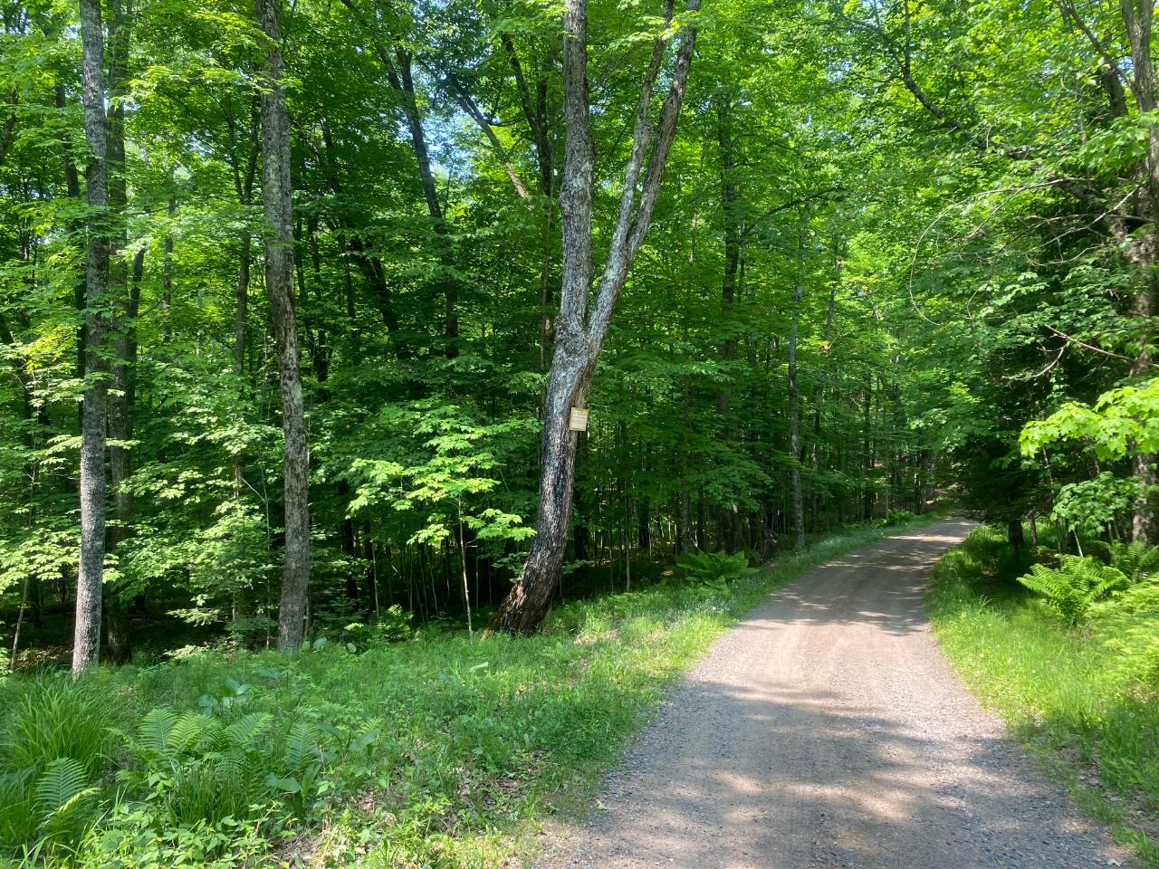 Tbd State Line Lake Road East, Unit 18 & 19 Marenisco, MI 49947 - Photo 19 of 27 Gallery Image 19