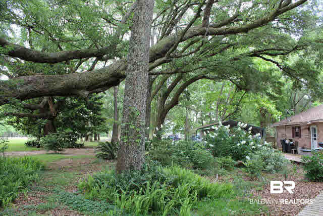 10375 Russ Road Daphne, AL 36526 - Photo 20 of 25 the acre surrounding the house has old mature oaks and other trees, the yard is very shaded, and has all kinds of landscaping which the owners have done over the last 20 years