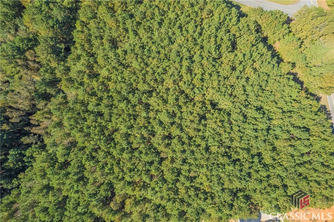 0 Hestertown Road, Unit TRACT 5 Madison, GA 30650 - Photo 6 of 41