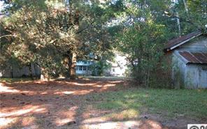2709 Cason Oldfield Road Morven, NC 28119 - Photo 6 of 8 a view of a yard with a tree