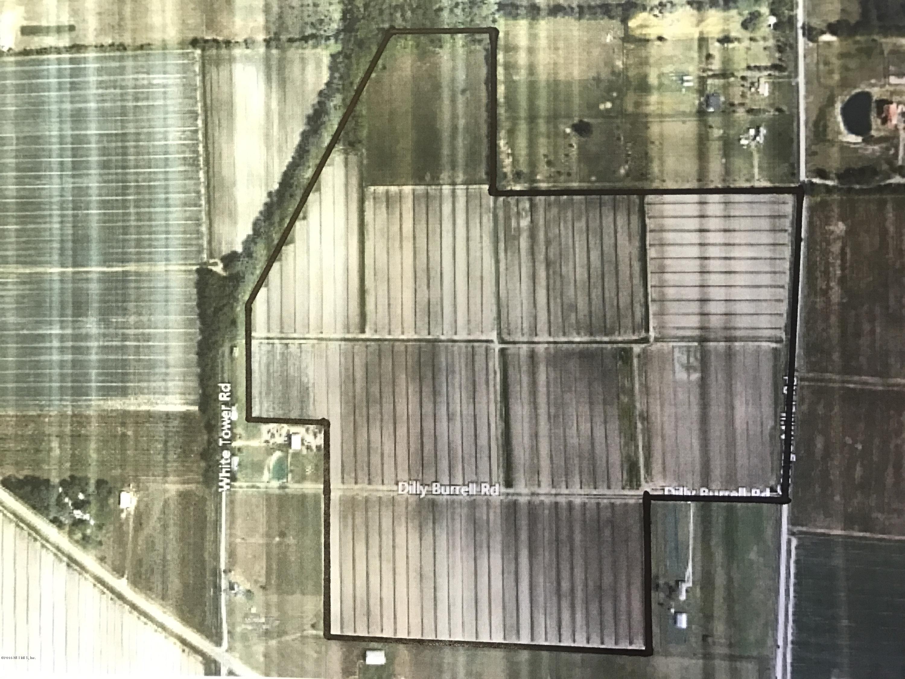 1256 George Miller Road Hastings, FL 32145 - Photo 3 of 3 Farmland