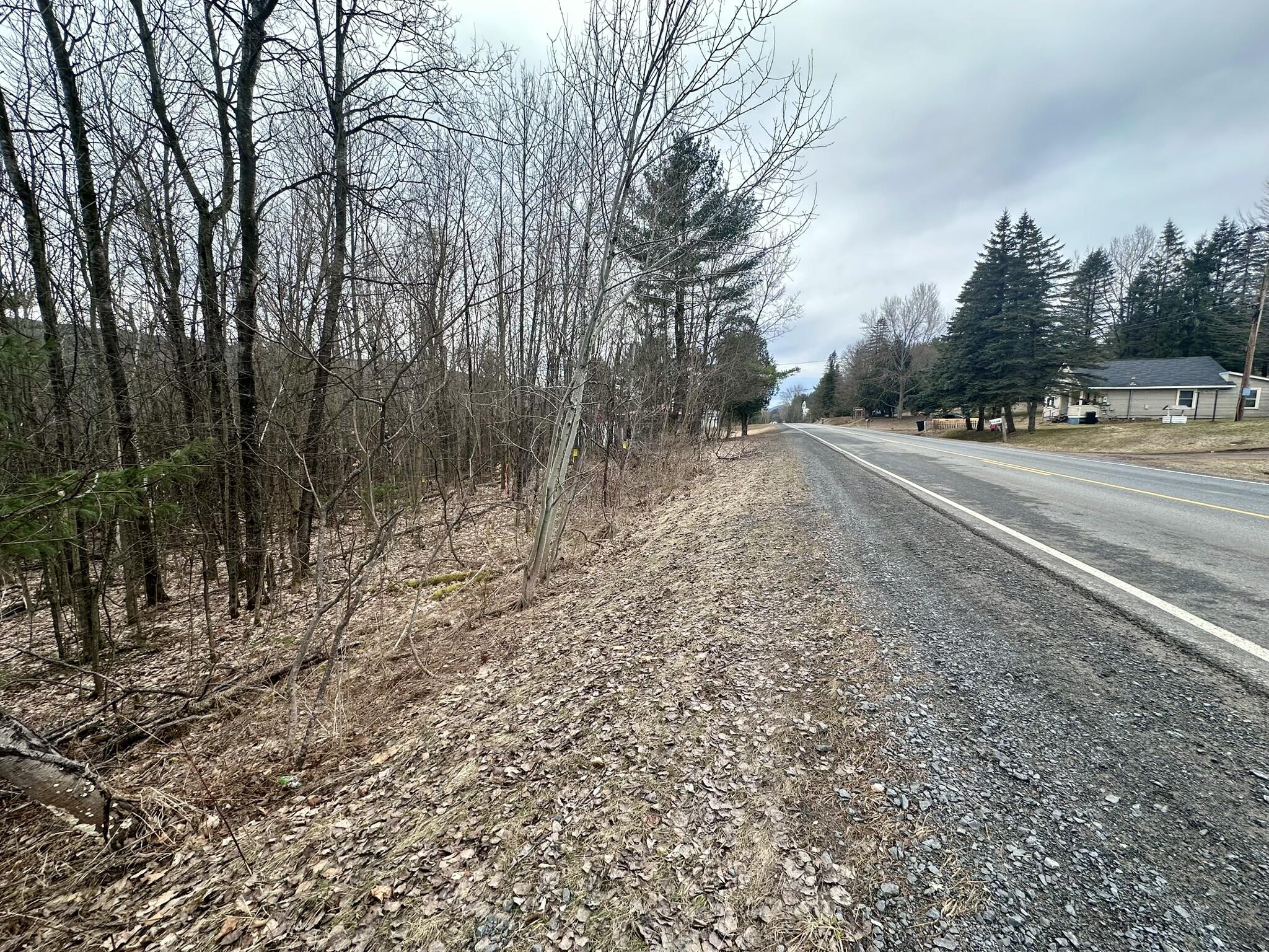 0 Peasleeville Road Peru, NY 12972 - Photo 4 of 8