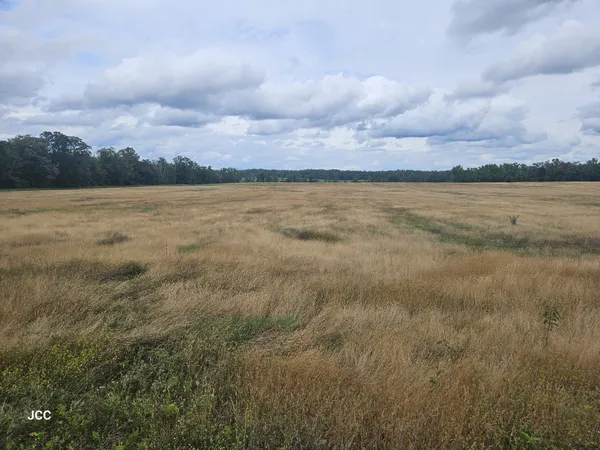 a view of lake and mountain