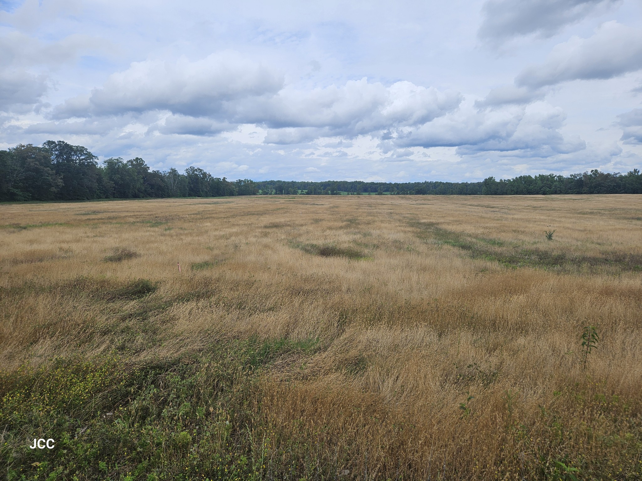 a view of lake and mountain