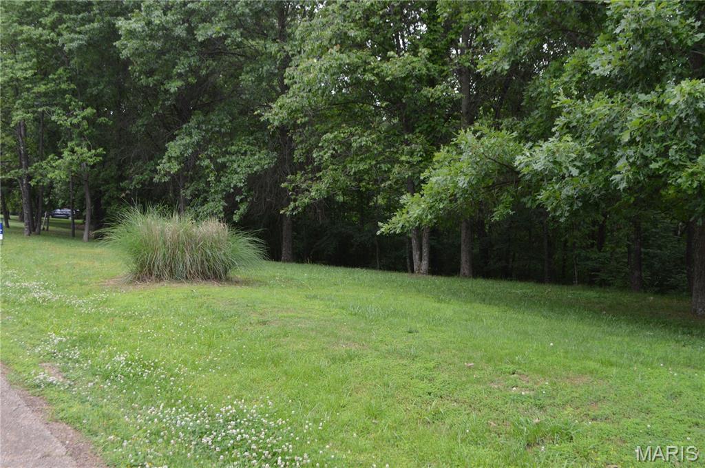 772 Mound Road Festus, MO 63028 - Photo 2 of 5