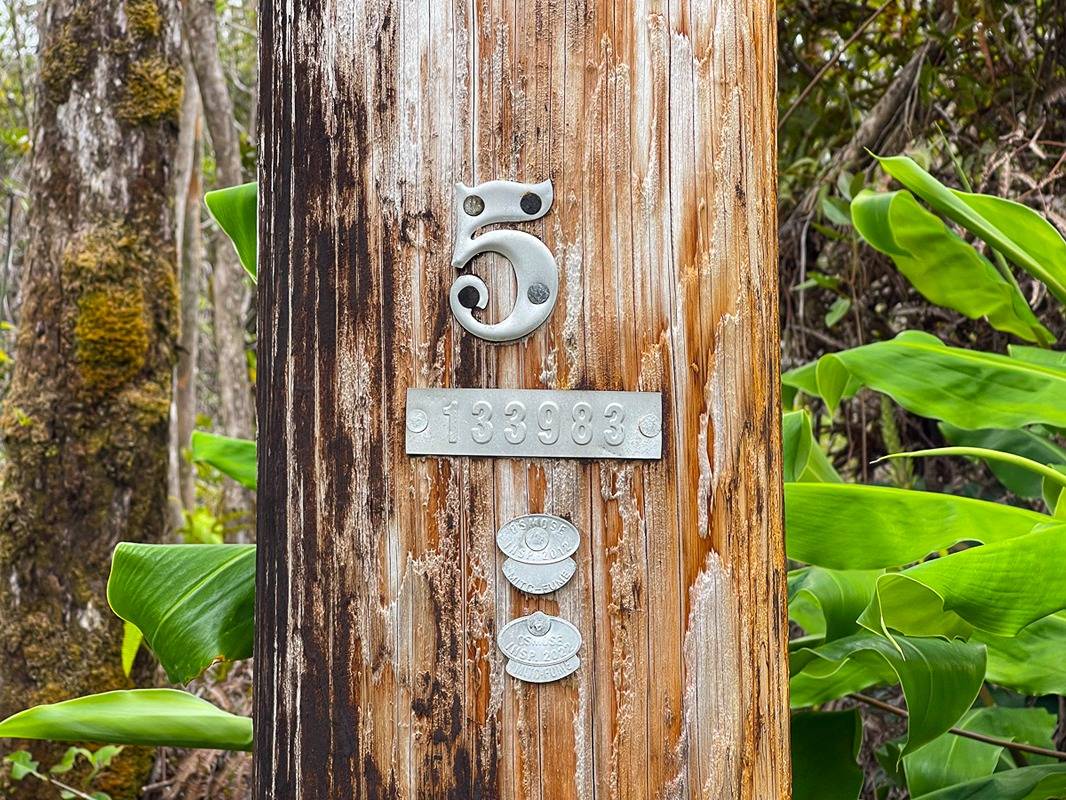2064 Anuhea Street Volcano, HI 96785 - Photo 11 of 11 a close up of a sink with a potted plant
