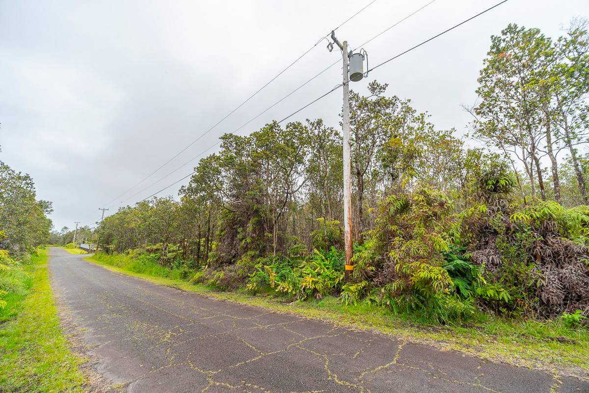 2064 Anuhea Street Volcano, HI 96785 - Photo 4 of 11 a view of a yard