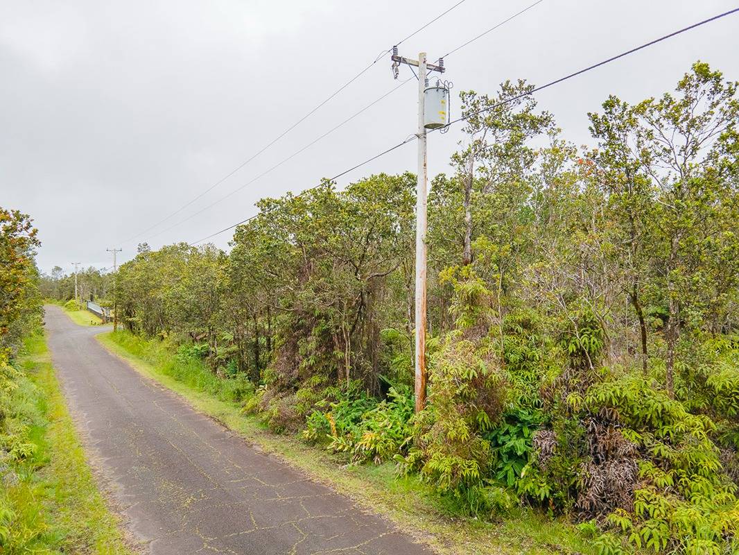 2064 Anuhea Street Volcano, HI 96785 - Photo 5 of 11 a view of a garden with plants