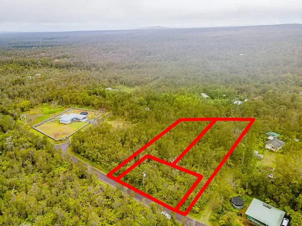a close up of a sink with a potted plant