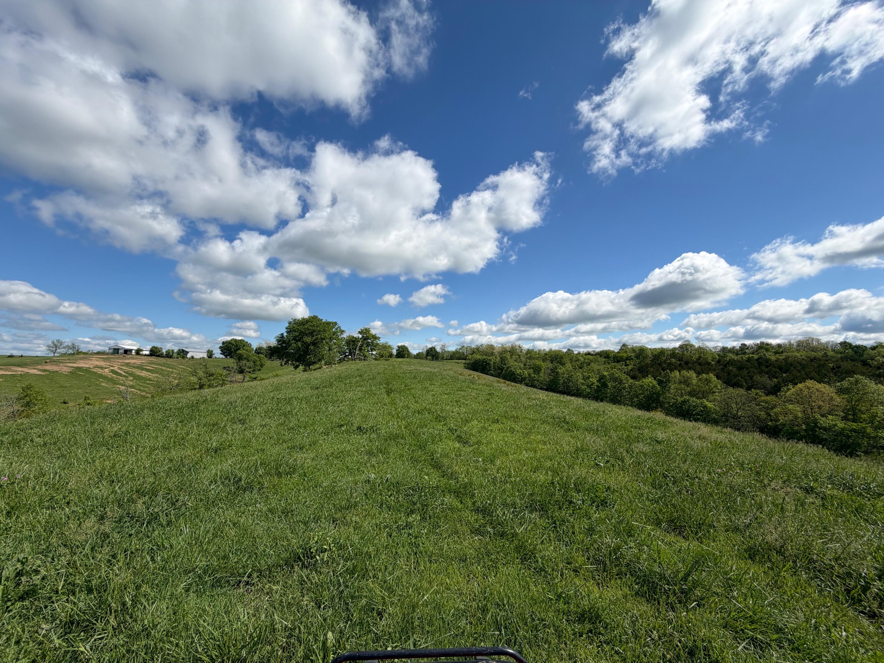 24.81-ac Chipman Ridge Road Williamstown, KY 41097 - Photo 12 of 17