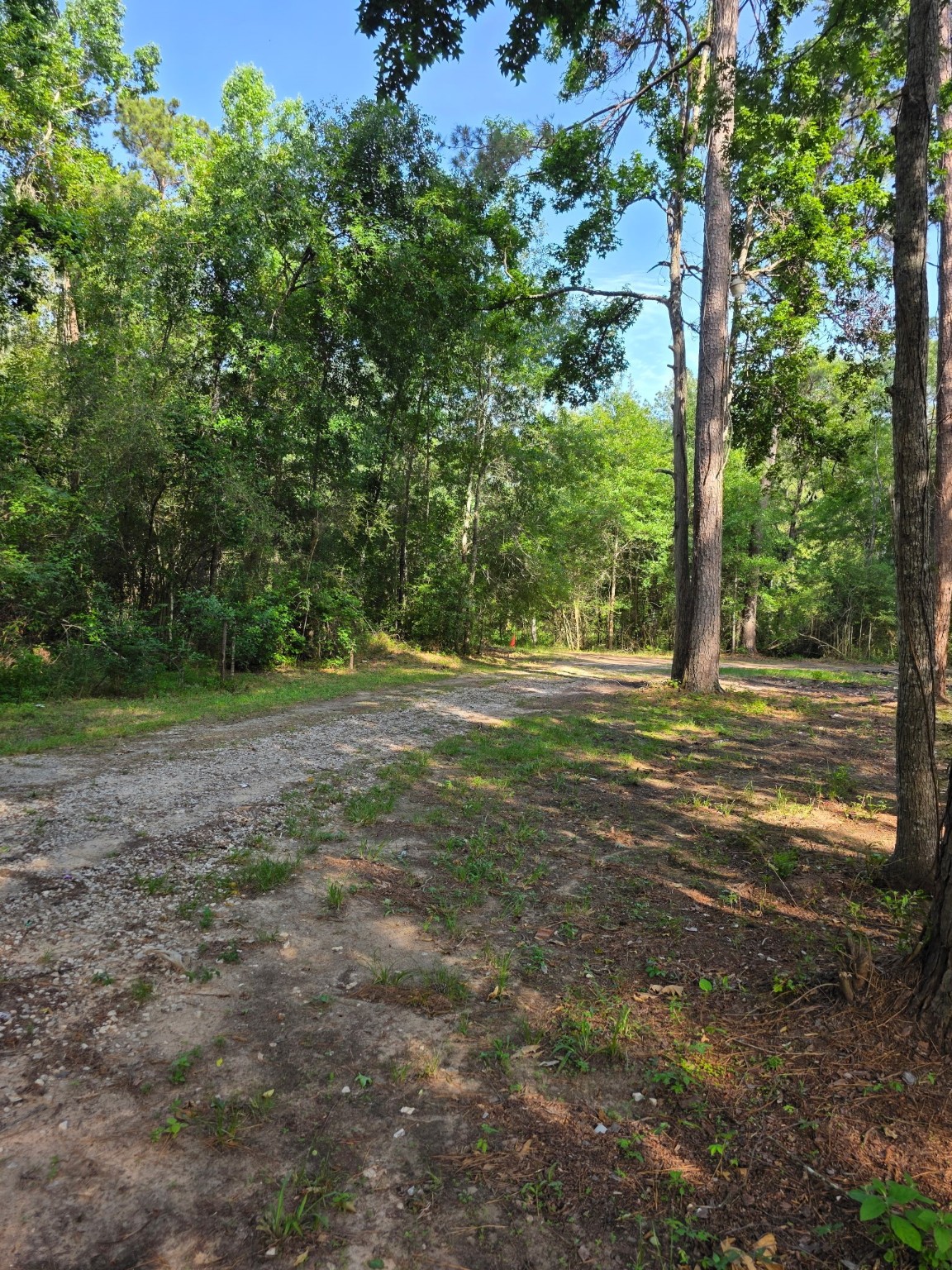 14068 Tower Glen Drive Conroe, TX 77306 - Photo 15 of 29