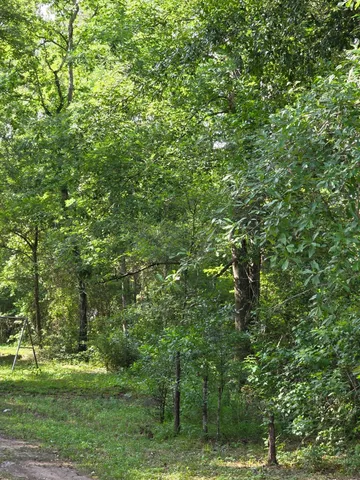 $249,990 | 14068 Tower Glen Drive, Conroe, TX 77306