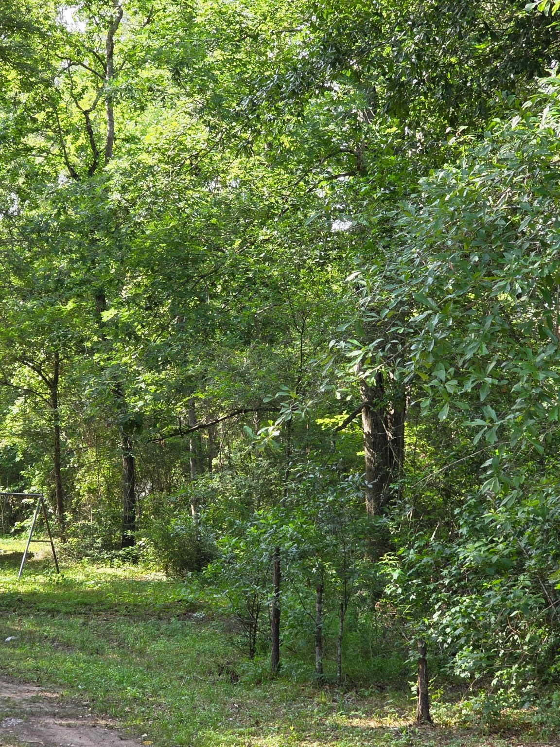 14068 Tower Glen Drive Conroe, TX 77306 - Photo 17 of 29