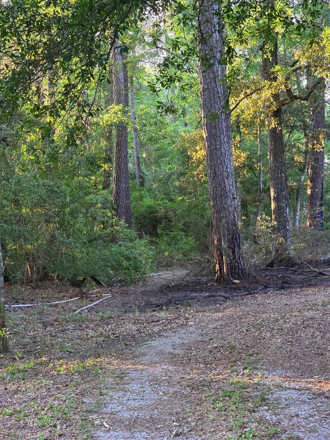 14068 Tower Glen Drive Conroe, TX 77306 - Photo 18 of 29