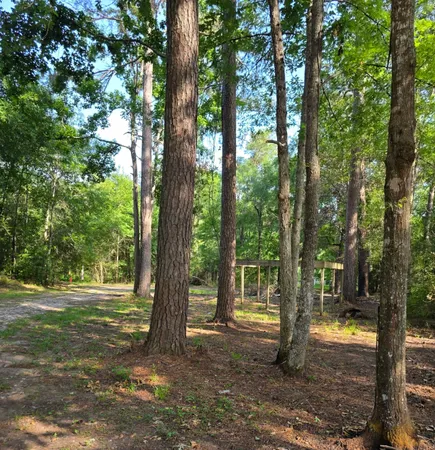 $249,990 | 14068 Tower Glen Drive, Conroe, TX 77306