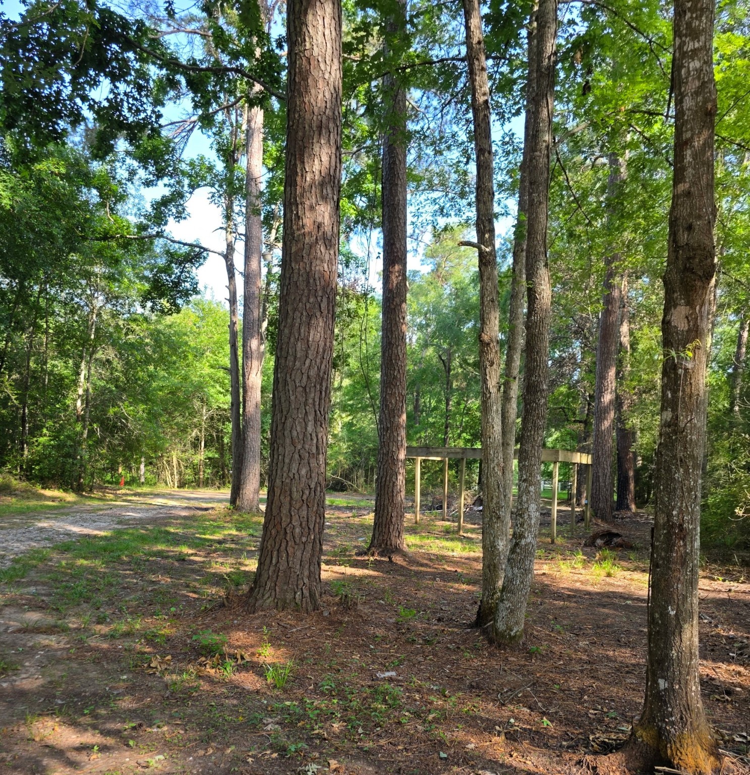 14068 Tower Glen Drive Conroe, TX 77306 - Photo 19 of 29