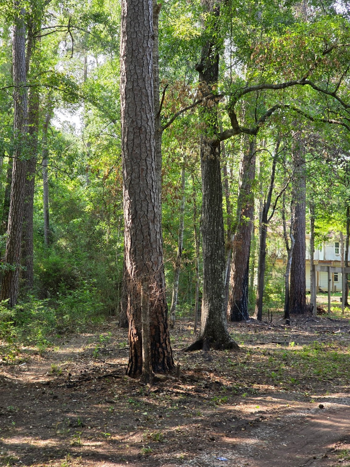 14068 Tower Glen Drive Conroe, TX 77306 - Photo 21 of 29