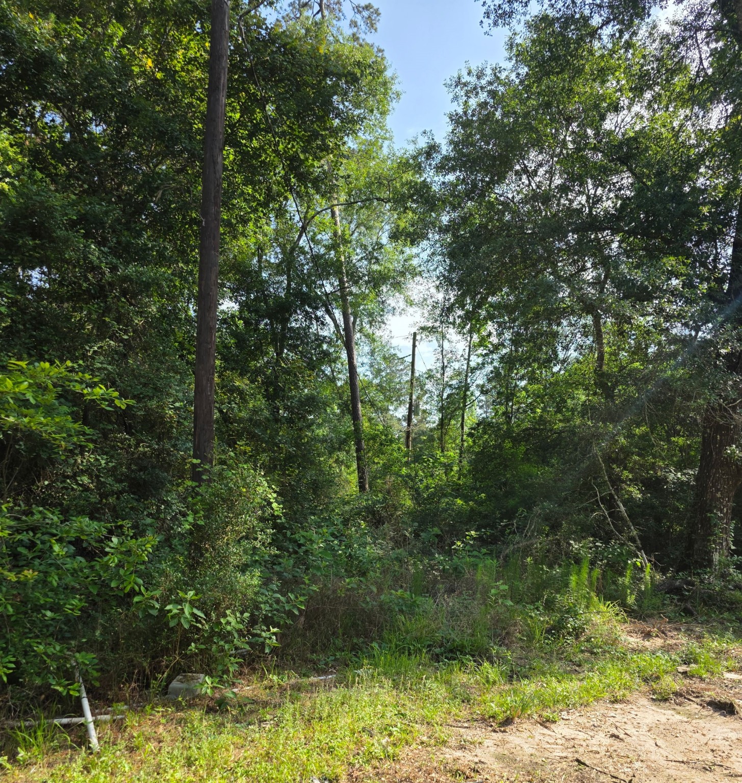 14068 Tower Glen Drive Conroe, TX 77306 - Photo 24 of 29