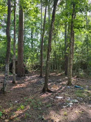 $249,990 | 14068 Tower Glen Drive, Conroe, TX 77306