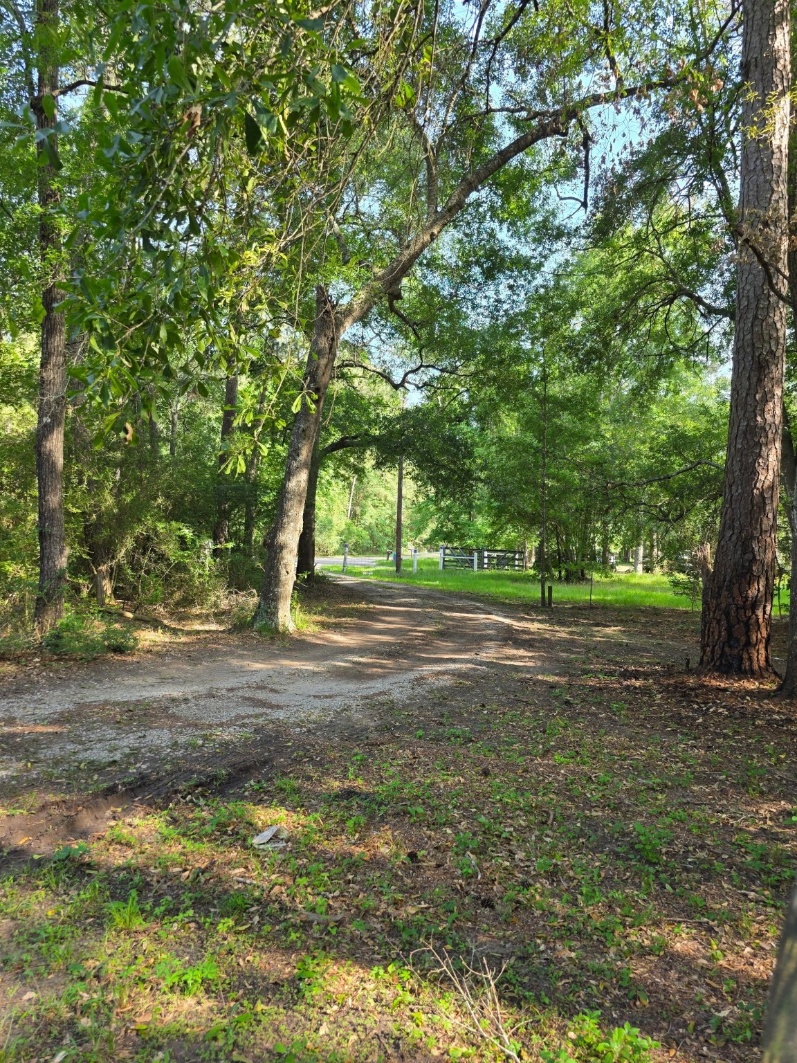 14068 Tower Glen Drive Conroe, TX 77306 - Photo 28 of 29