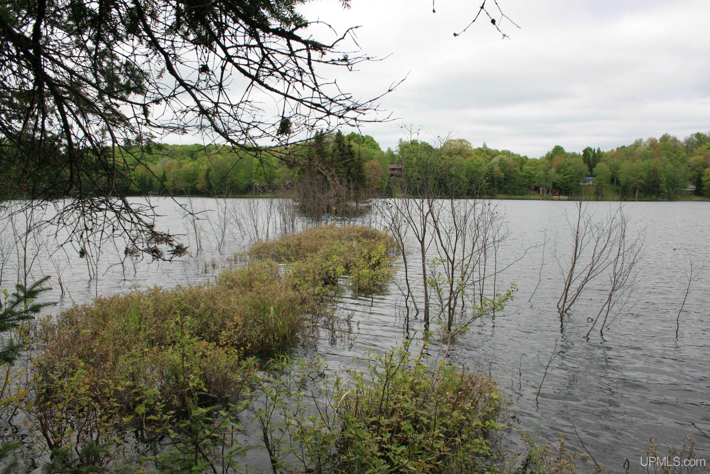 Tbd Sucker Lake Road Watersmeet, MI 49969 - Photo 21 of 24