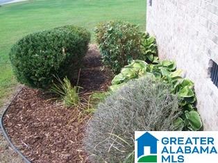 151 Hawk Pass Anniston, AL 36207 - Photo 35 of 36