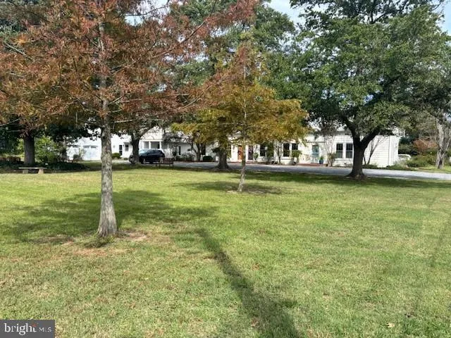a garden view with a fountain