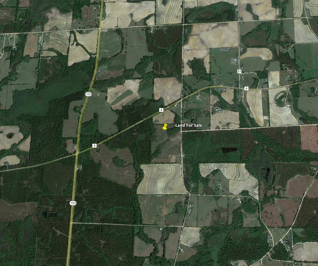 L1 New Hinson Road Slocomb, AL 36375 - Photo 30 of 30