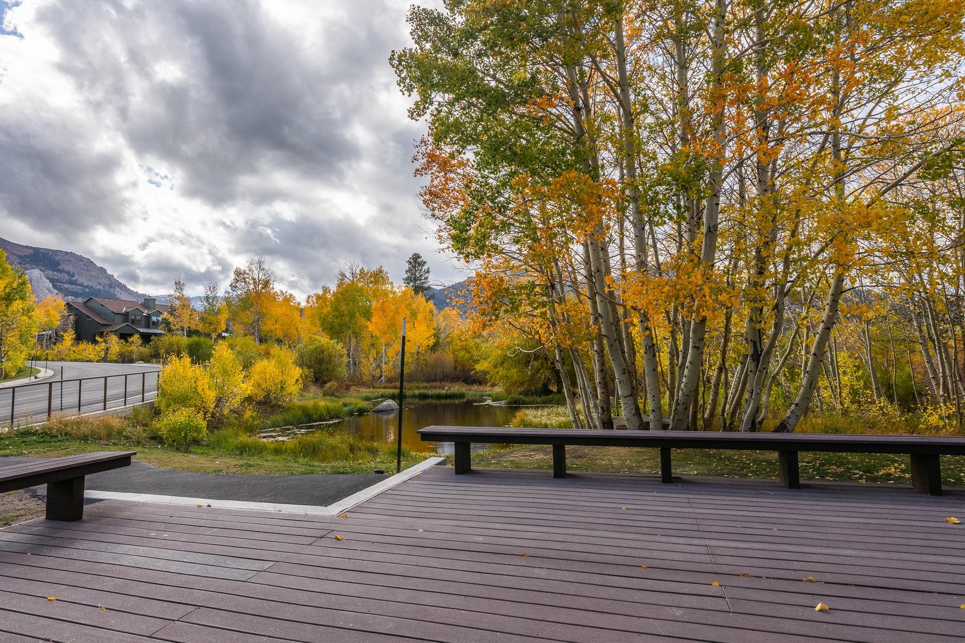 1353 Timber Creek Road, Unit 1353 Mammoth Lakes, CA 93546 - Photo 45 of 50 a view of outdoor space with trees