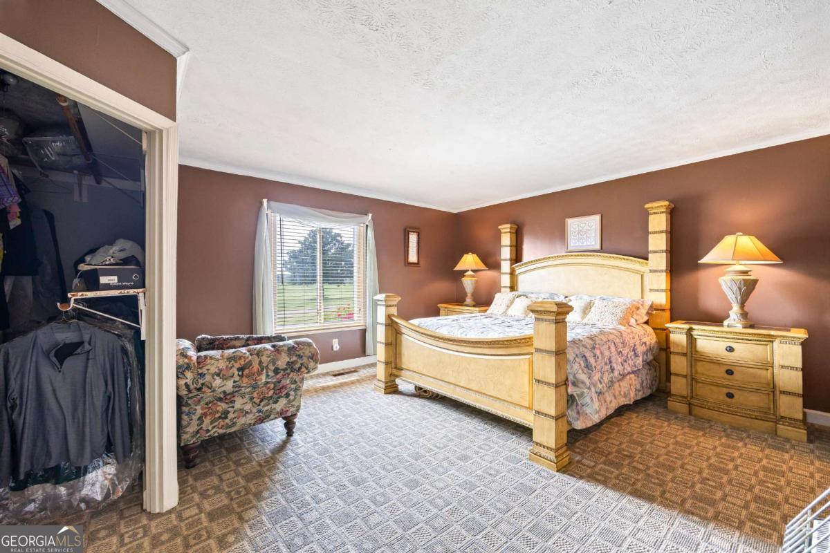 1691 Snows Mill Road Bogart, GA 30622 - Photo 30 of 57