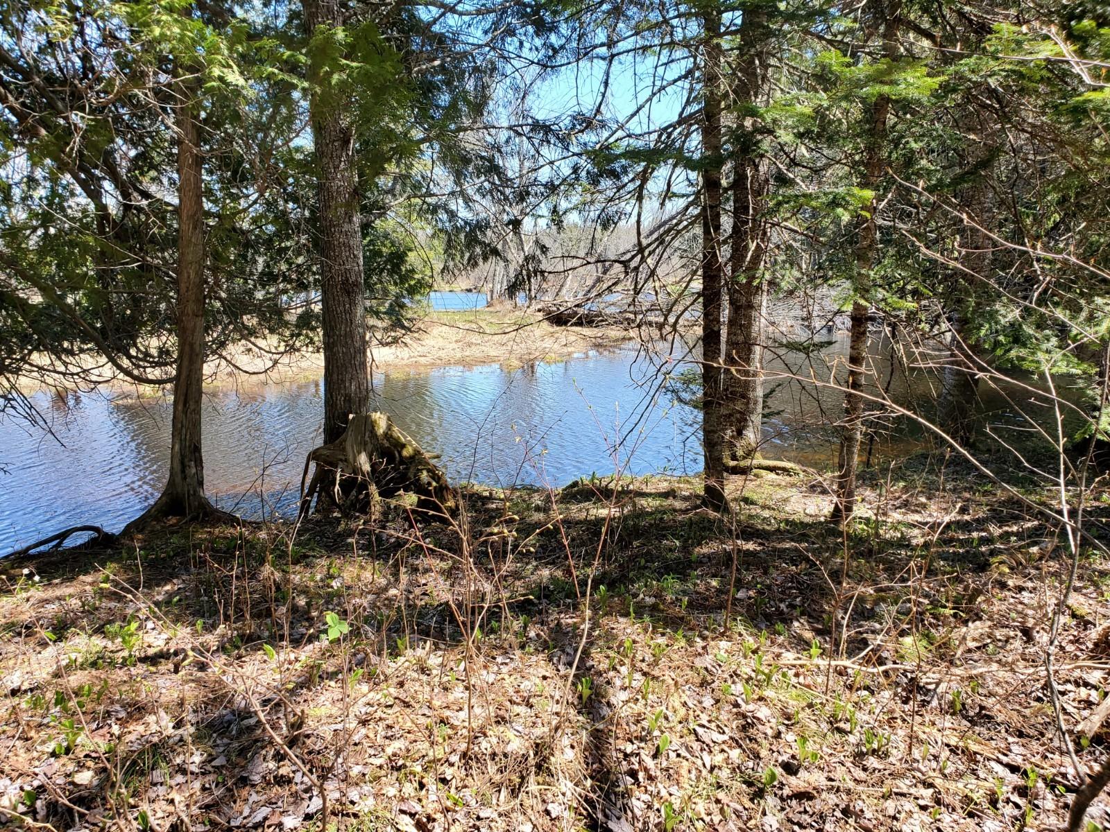 Lot S Lot S Bell Field River Road Wytopitlock, ME 04497 - Photo 5 of 6 20200519_112824