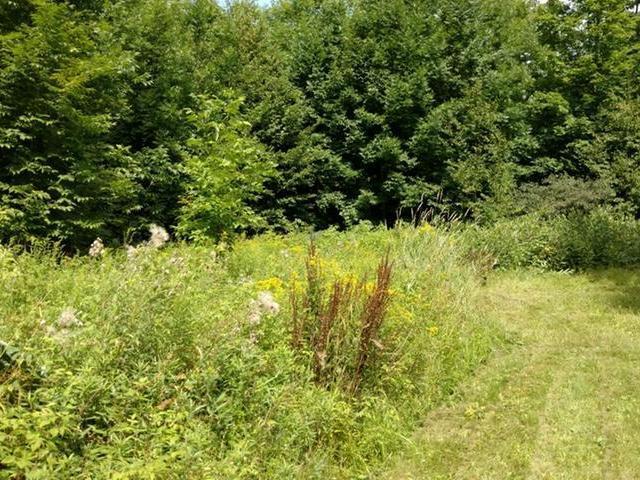 W9989 Timm Road Butternut, WI 54514 - Photo 19 of 20 Gallery Image 19