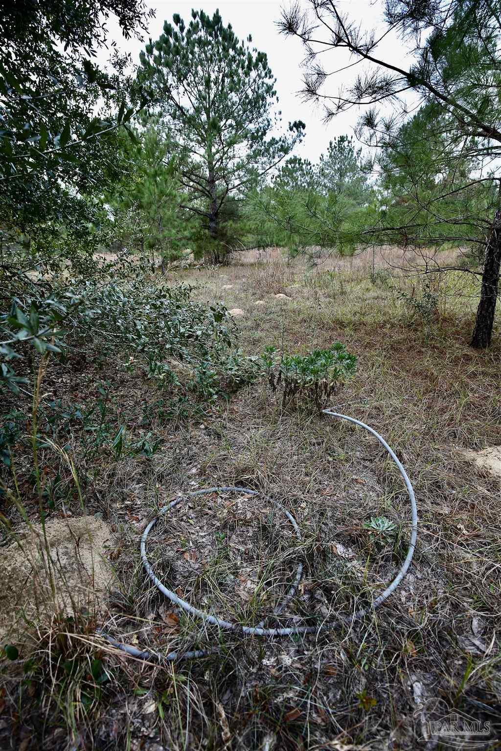 Tbd-lot 4 Permenter Road Milton, FL 32583 - Photo 8 of 30 Gallery Image 8