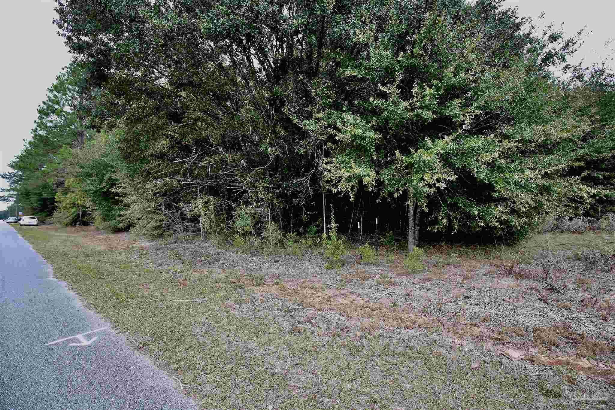 Tbd-lot 4 Permenter Road Milton, FL 32583 - Photo 9 of 30 Gallery Image 9