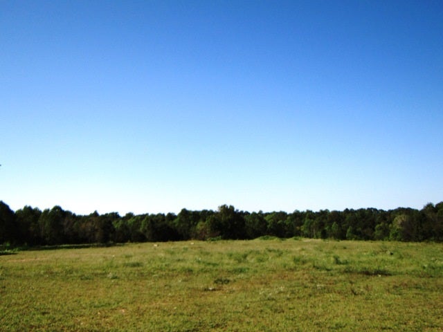3111 Macedonia Road Adolphus, KY 42120 - Photo 4 of 5 Gallery Image 4