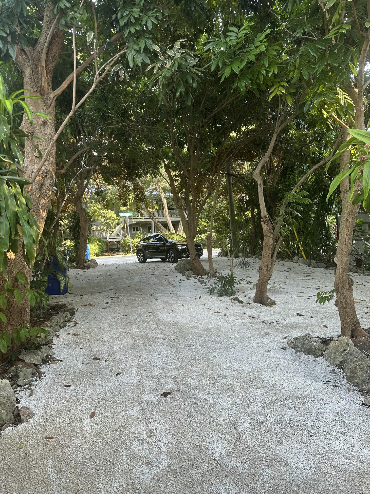 112 South Rolling Hill Road Tavernier, FL 33070 - Photo 35 of 39 Lush Landscaping