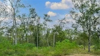 $115,000 | 20687 Live Oak Drive, Damon, TX 77430