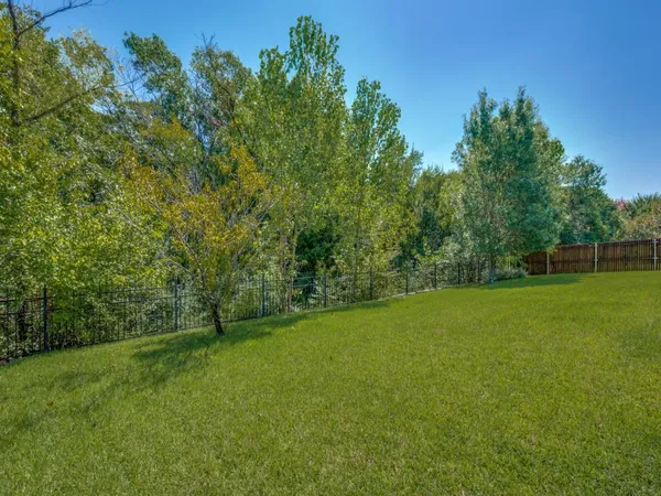 a view of a field with a tree
