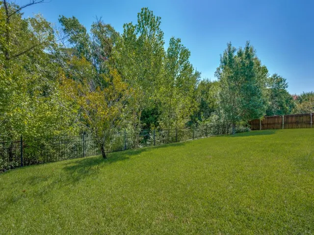 a view of a field with a tree