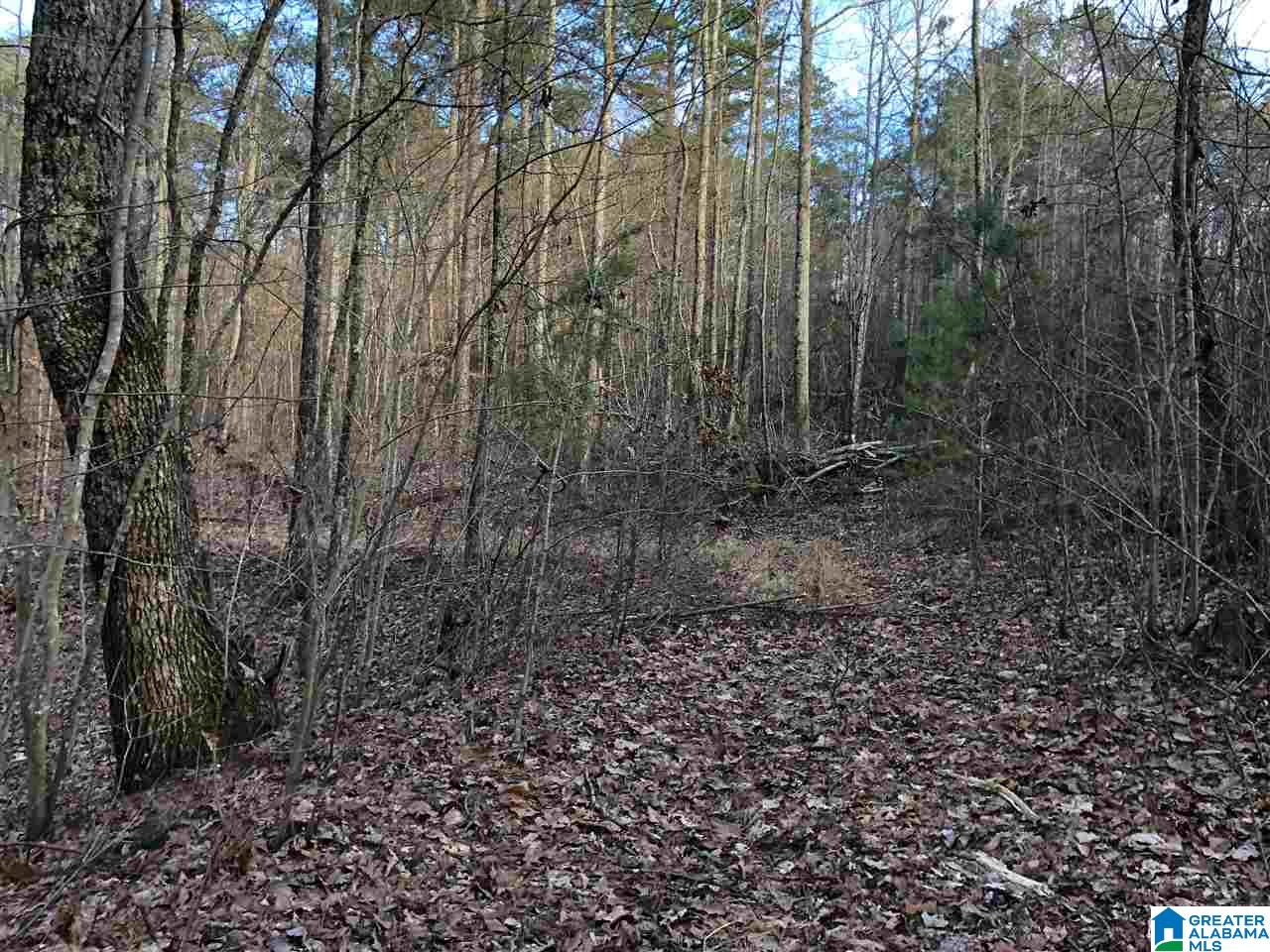 0 Drake Drive Springville, AL 35146 - Photo 12 of 23