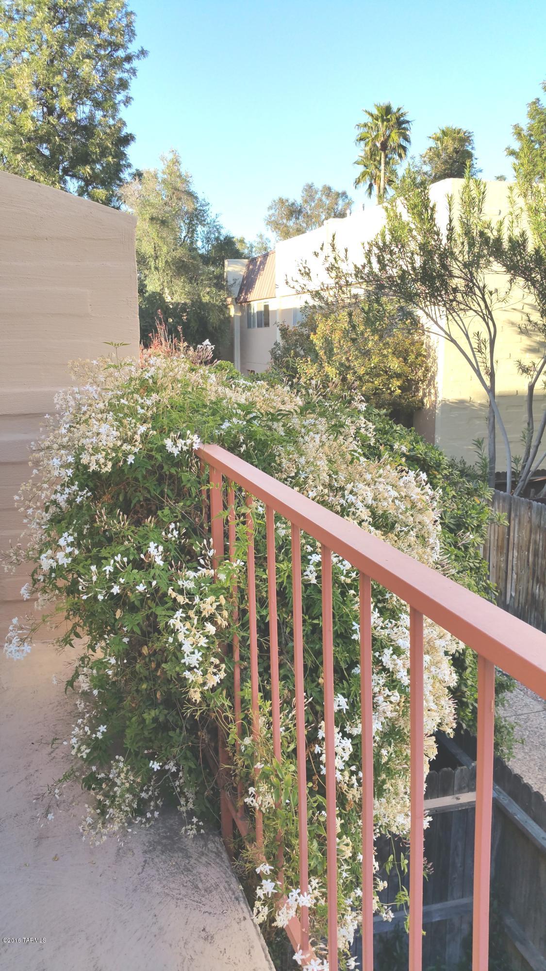 1335 East Fort Lowell Road, Unit C Tucson, AZ 85719 - Photo 25 of 27