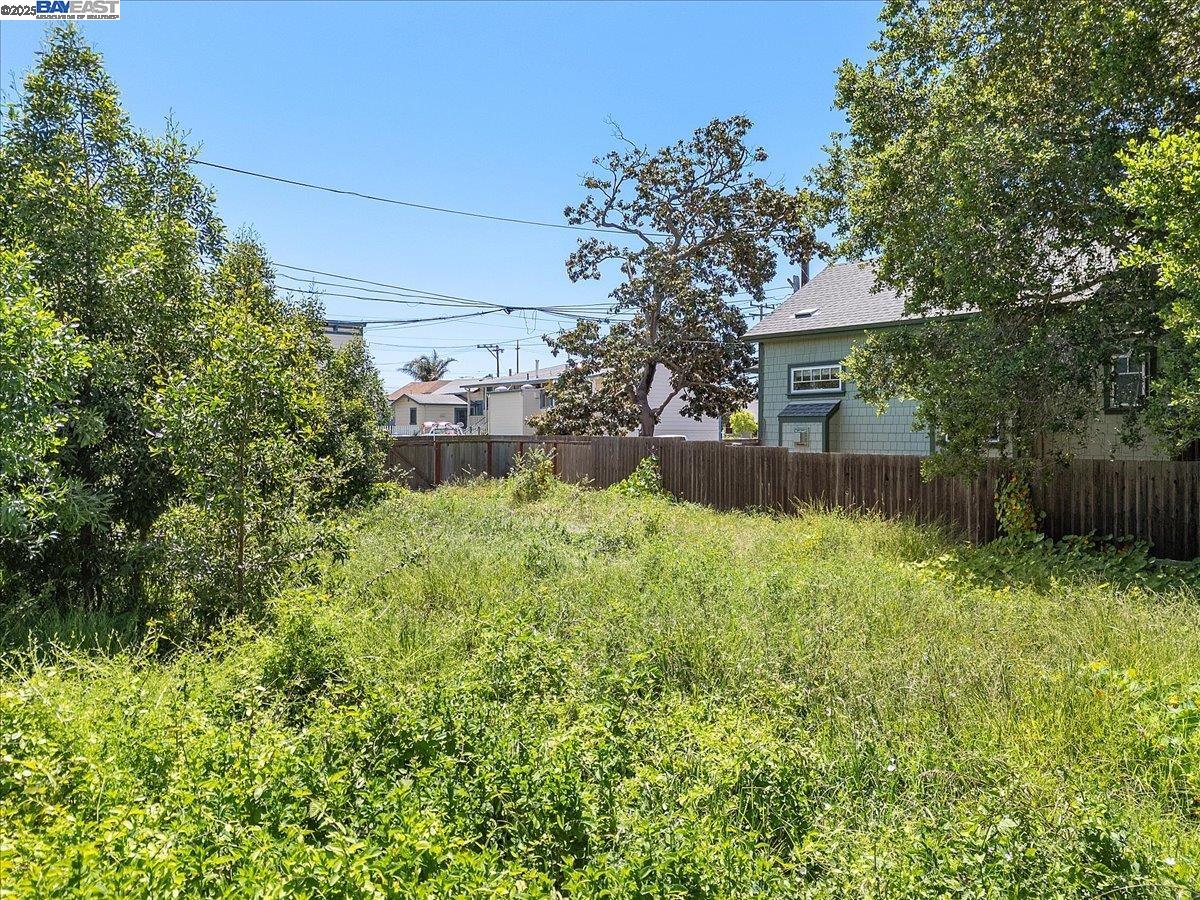 310 Spruce Street Alameda, CA 94501 - Photo 12 of 18