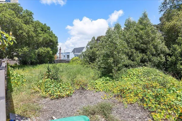 a view of a garden