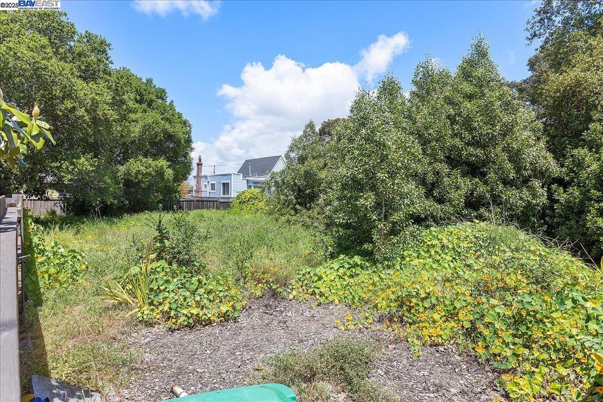 310 Spruce Street Alameda, CA 94501 - Photo 14 of 18