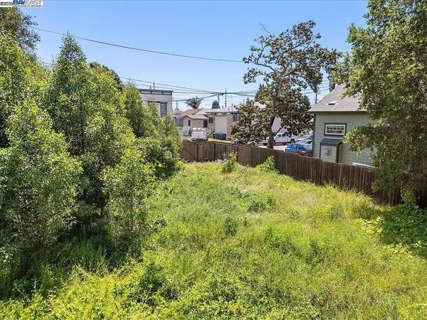 a view of a yard with plants
