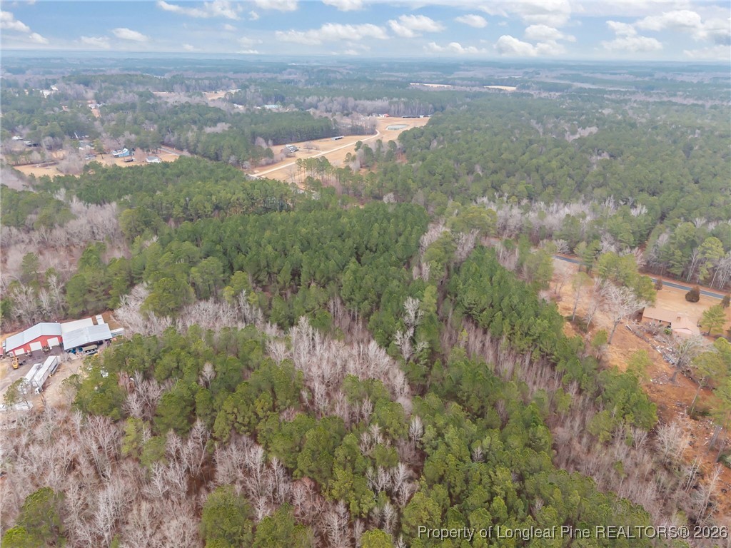 Tbd East Reeves Bridge Road Linden, NC 28356 - Photo 12 of 15 Gallery Image 12
