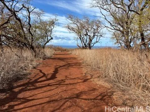 a view of beach and covered with snow