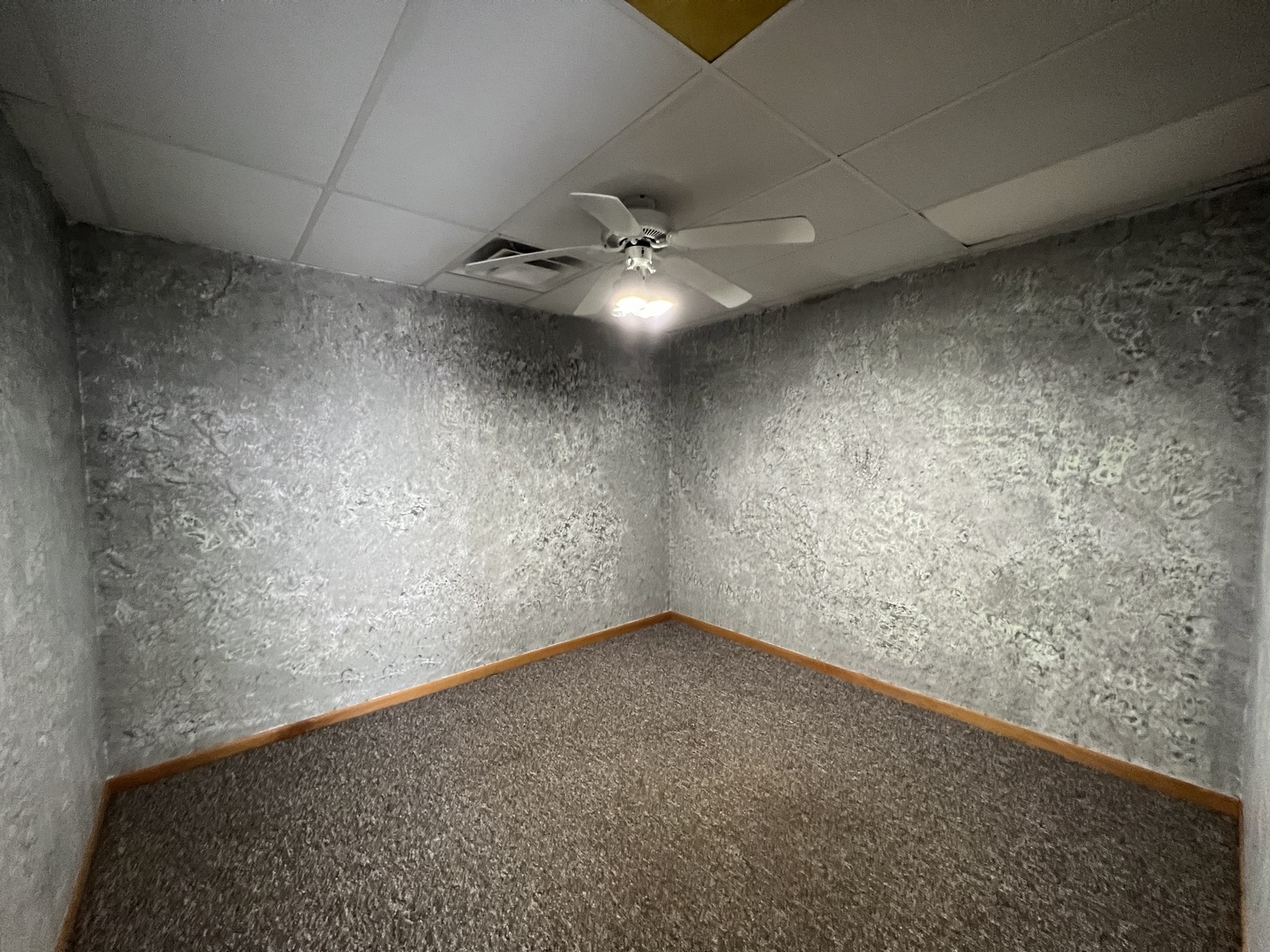 303 East State Road Mount Carroll, IL 61053 - Photo 20 of 26 an empty room with a ceiling fan and carpet