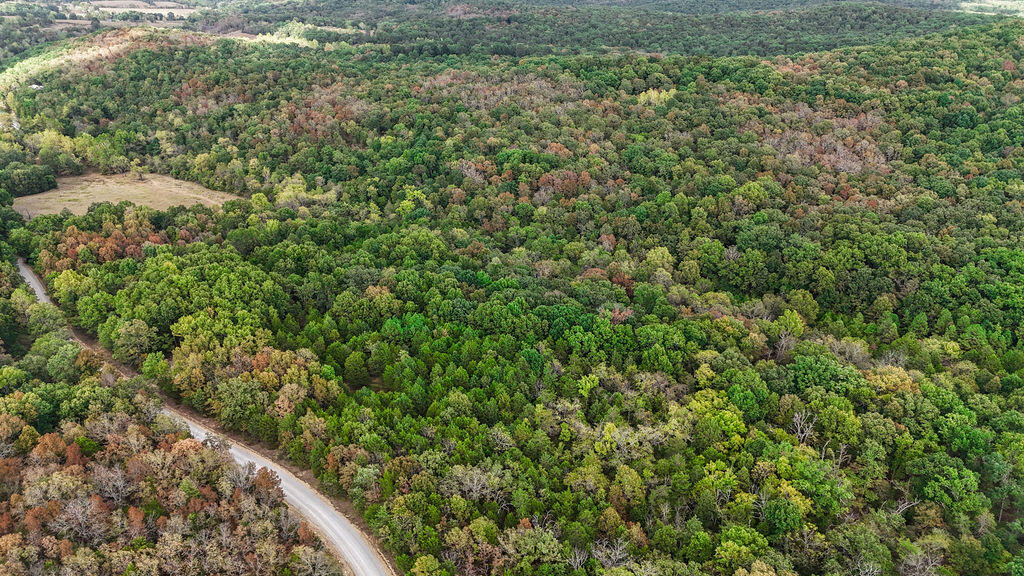 0 Co Road Wasola, MO 65773 - Photo 5 of 14 Aerial