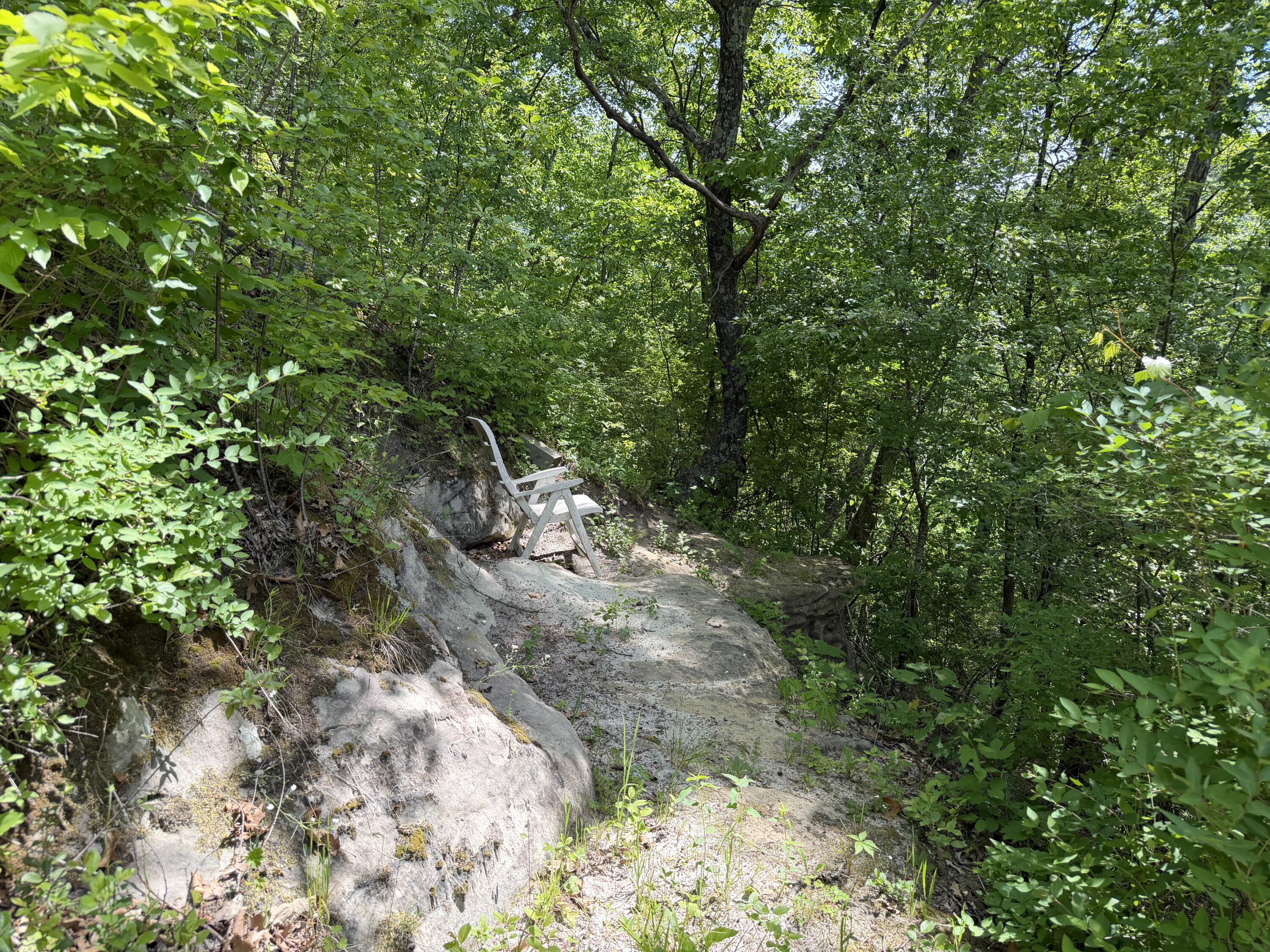 S7750 Carter Valley Lane Kickapoo, WI 54652 - Photo 29 of 54 20260529_162604971_iOS
